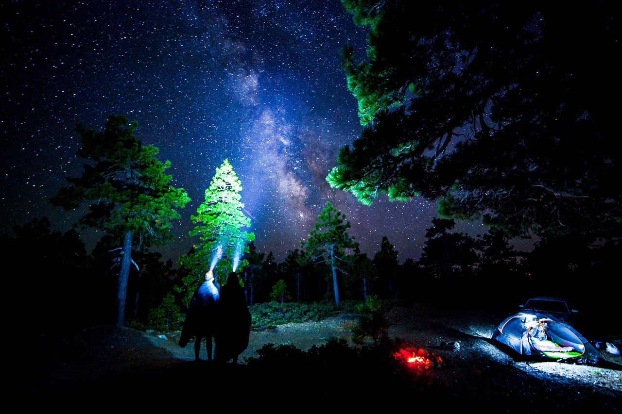 江华的奇幻冒险，时间静止下的自由游戏