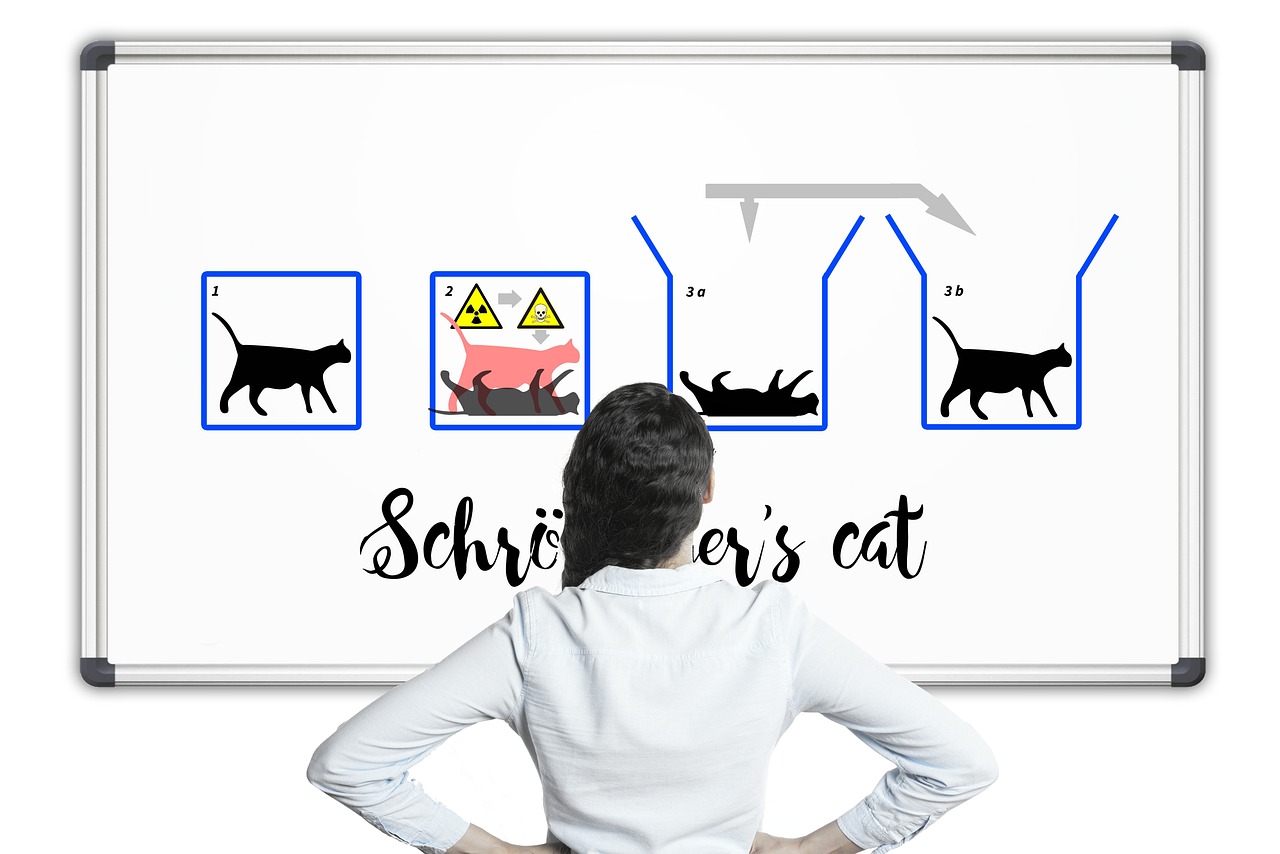 薛定谔的猫，量子力学的悖论与哲学思考