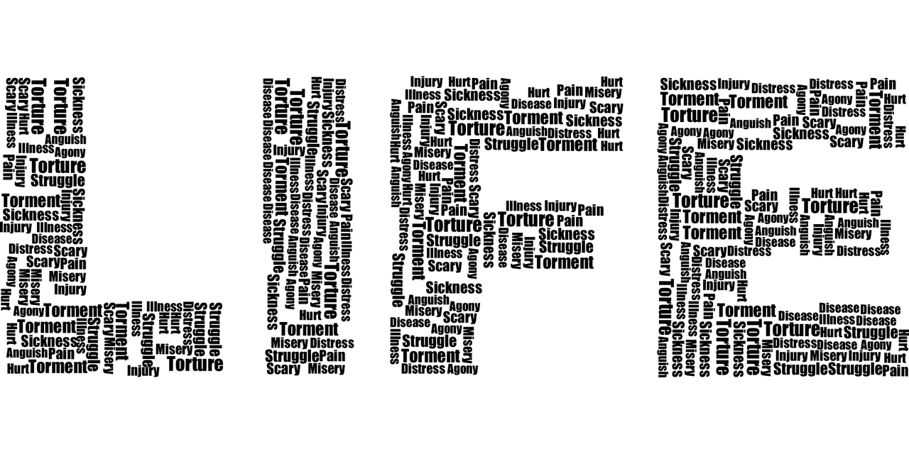 挑战你的智慧极限，测试智商10题答案大全解析