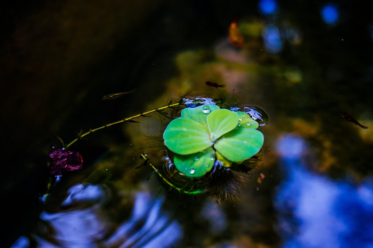 谷雨时节，春末的雨，农耕的诗