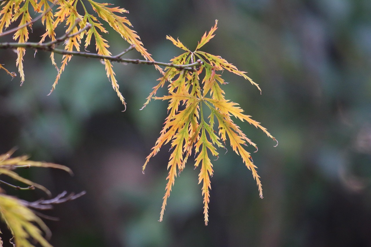 谷雨时节，春末夏初的农耕与养生指南